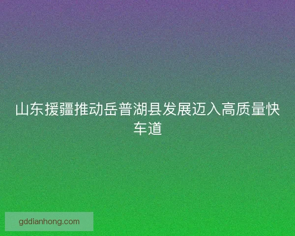 山东援疆推动岳普湖县发展迈入高质量快车道